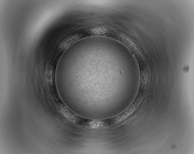 X0000099410762200805091219