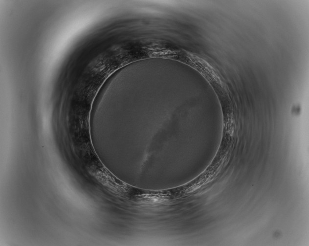 X0000099410763200805091219