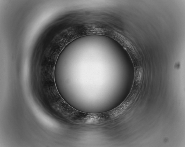 X0000099410764200805091219