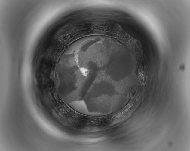 X0000099410765200805091219