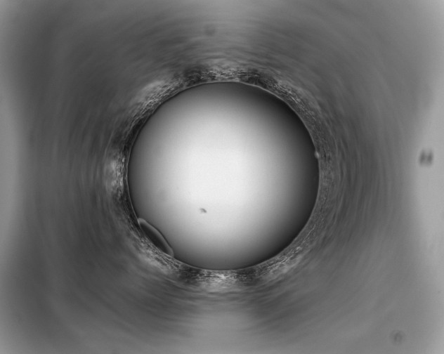 X0000099410768200805091219