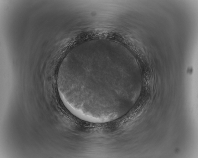 X0000099410769200805091218