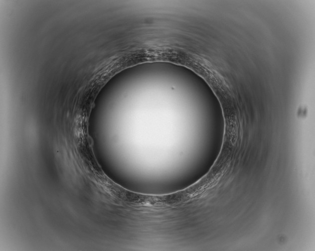 X0000099410770200805091218