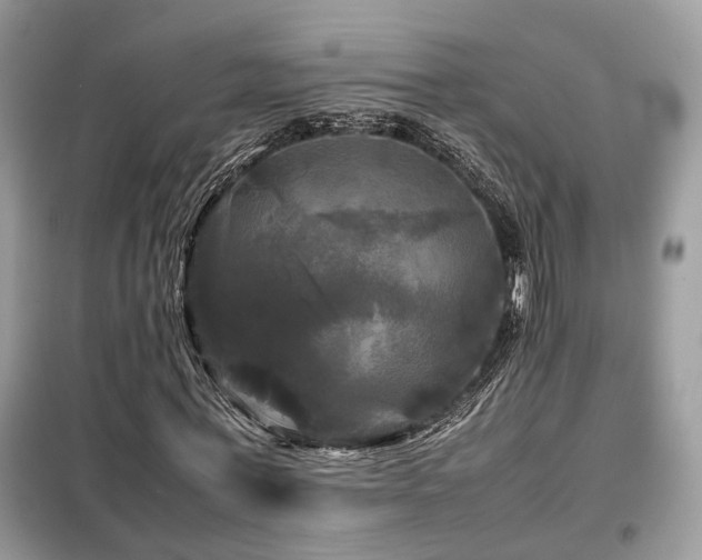 X0000099410771200805091218