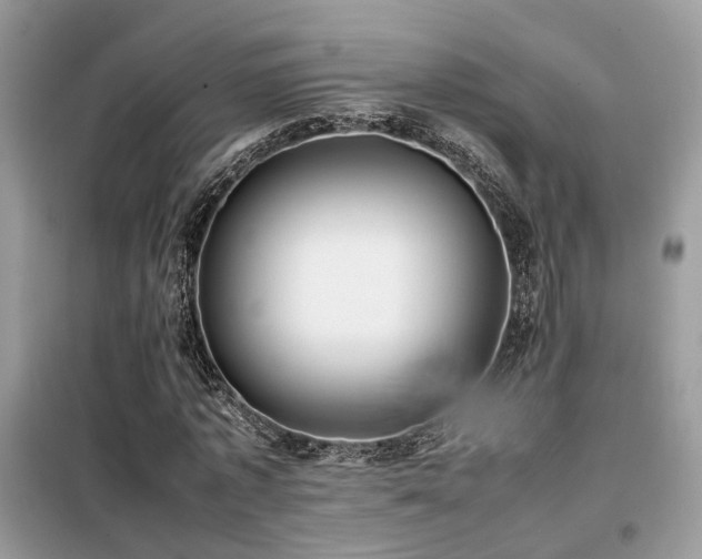 X0000099410773200805091218