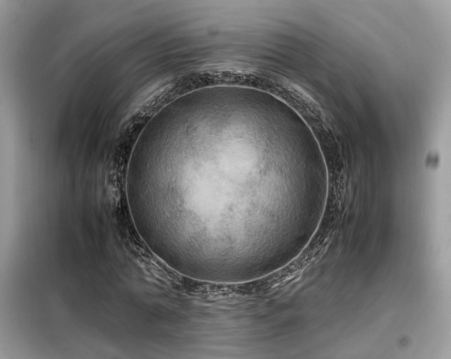 X0000099410774200805091218