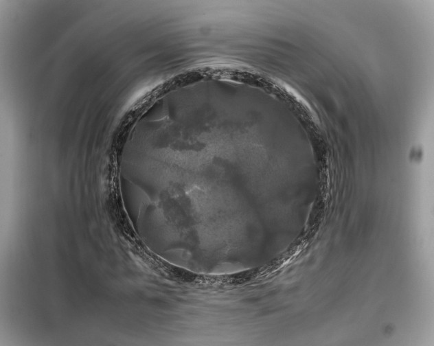 X0000099410775200805091218