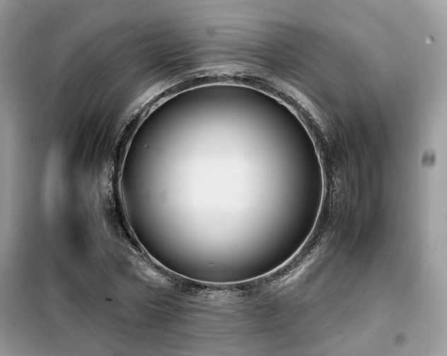 X0000099410778200805091218