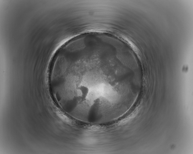 X0000099410779200805091218