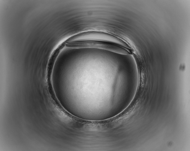 X0000099410780200805091218