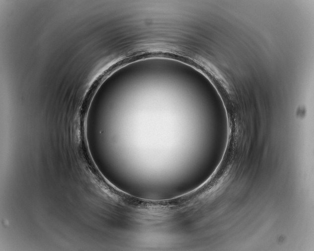X0000099410782200805091218