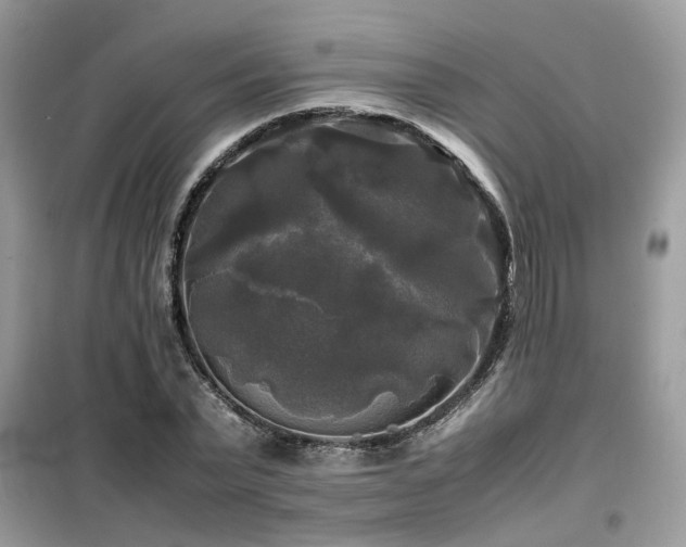 X0000099410783200805091218