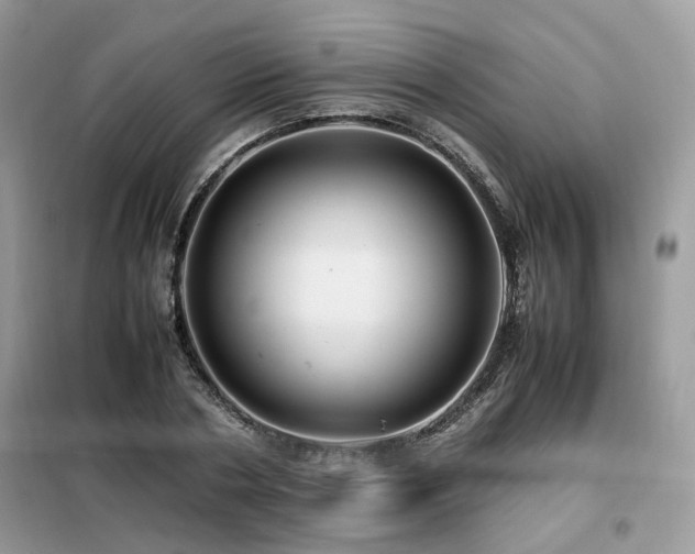 X0000099410786200805091218