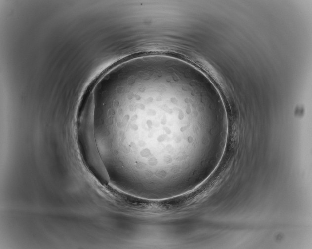 X0000099410787200805091218