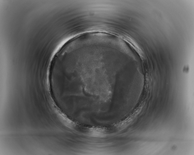 X0000099410788200805091218