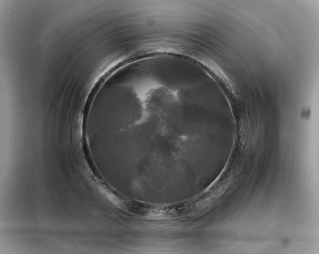 X0000099410790200805091218