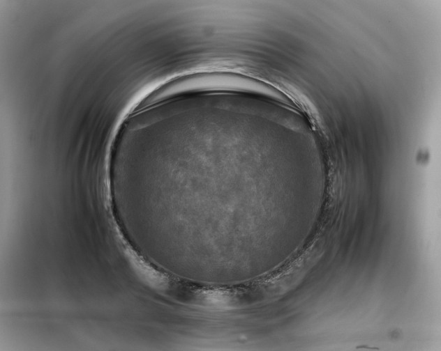 X0000099410792200805091218