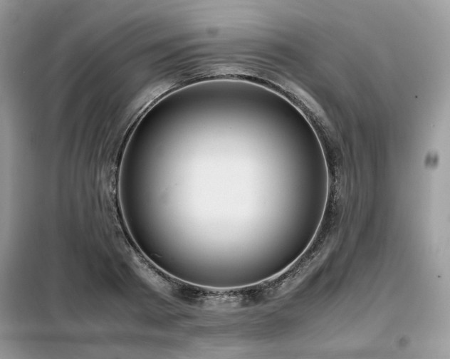 X0000099410793200805091218