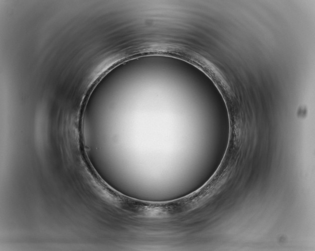 X0000099410794200805091218