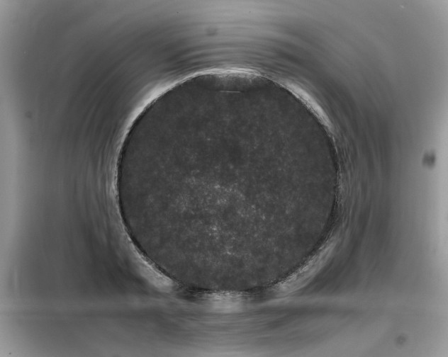 X0000099410797200805091218