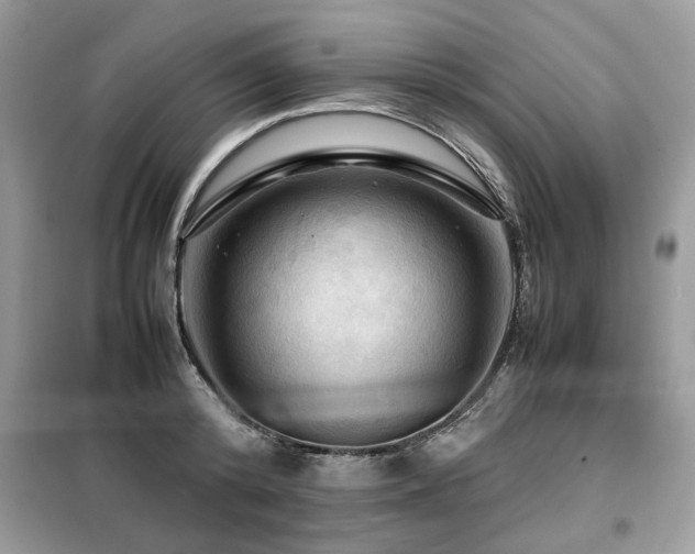 X0000099410800200805091218
