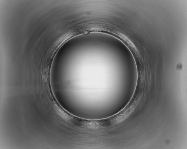 X0000099410801200805091218