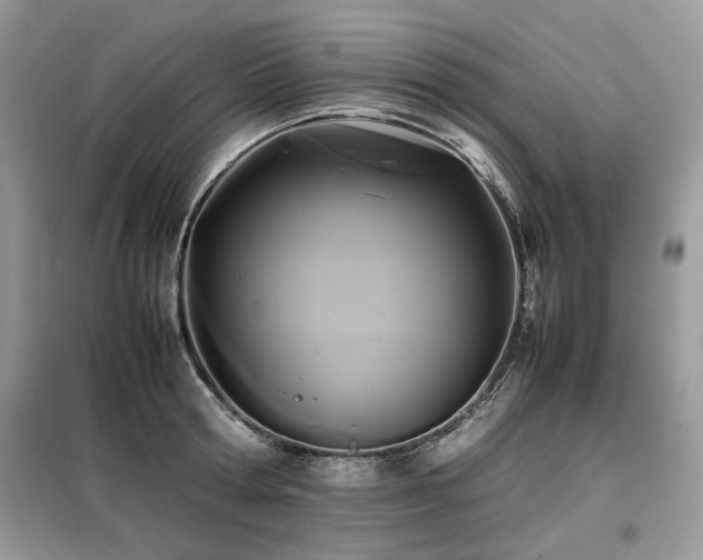 X0000099410802200805091218