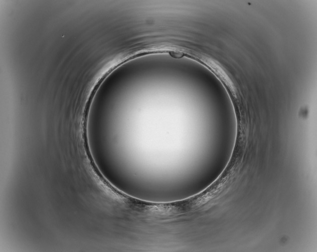 X0000099410805200805091218