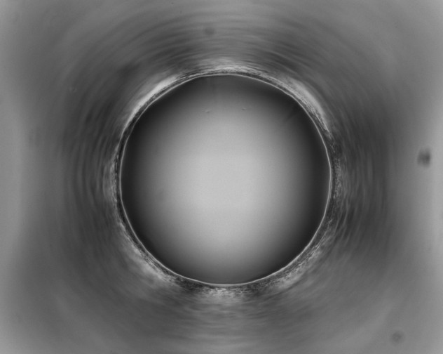 X0000099410806200805091218