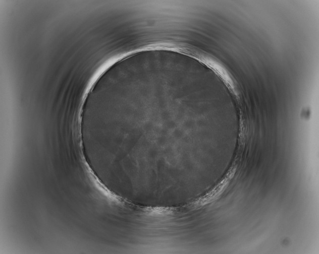 X0000099410808200805091218