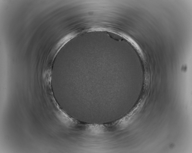 X0000099410809200805091218