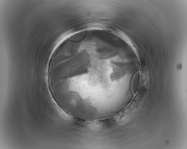 X0000099410811200805091218