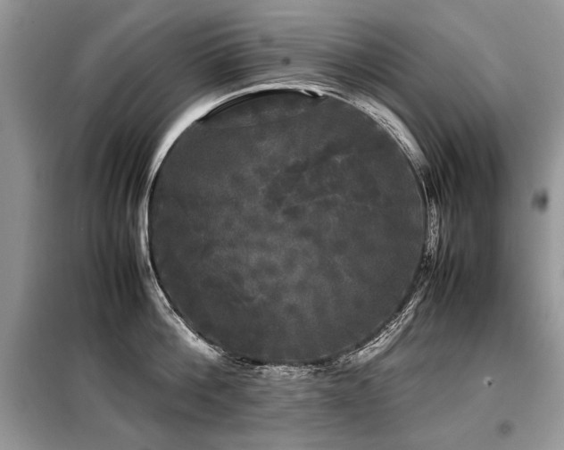 X0000099410812200805091218