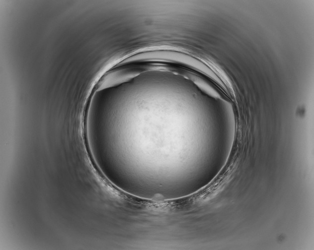 X0000099410813200805091218