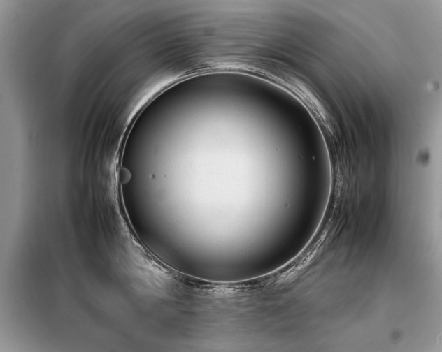 X0000099410814200805091218