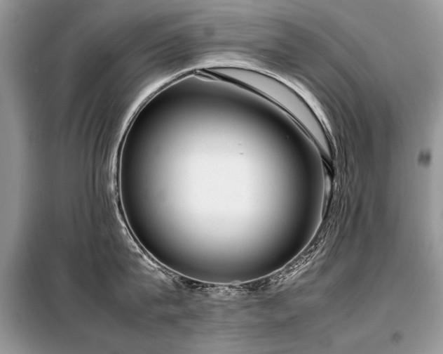 X0000099410815200805091218