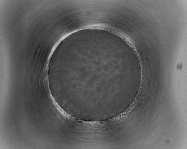 X0000099410816200805091218