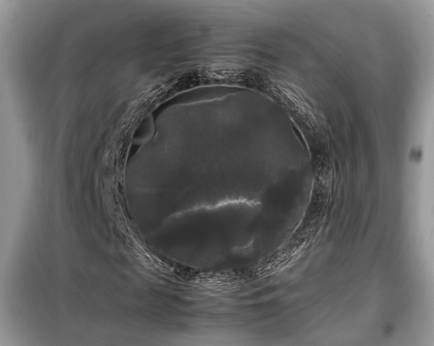 X0000099410817200805091217