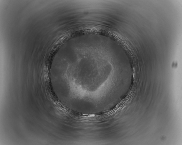 X0000099410819200805091217