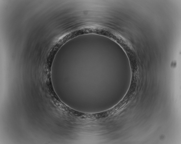 X0000099410822200805091217