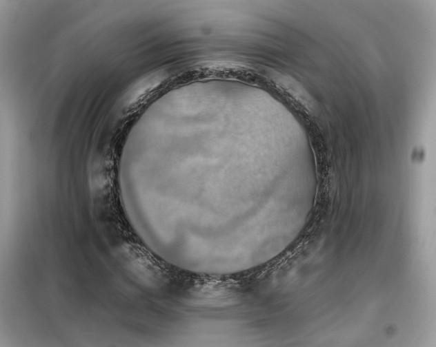 X0000099410824200805091217