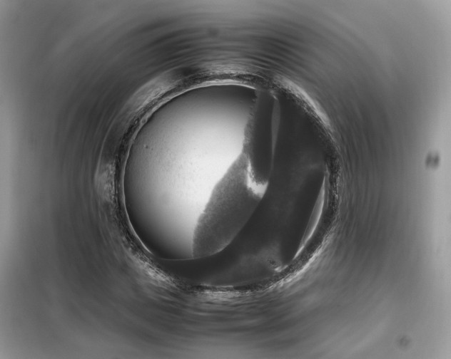 X0000099410825200805091217