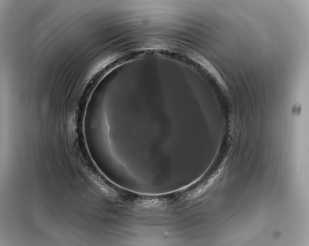 X0000099410826200805091217