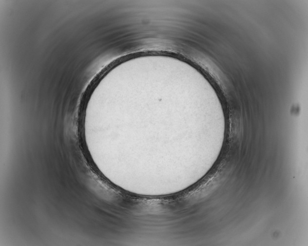 X0000099410828200805091217