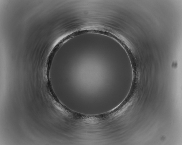 X0000099410830200805091217