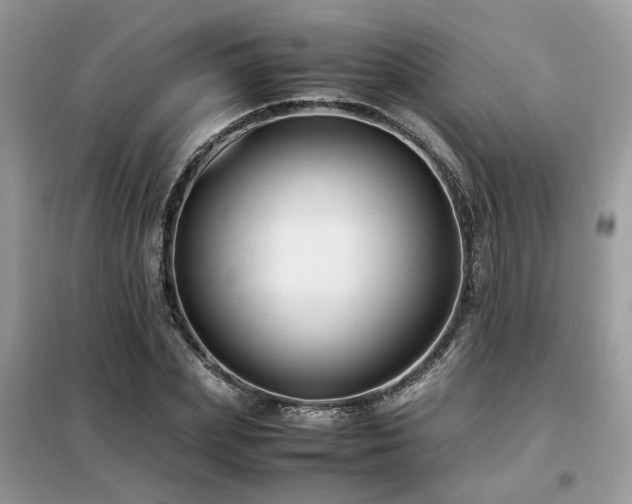 X0000099410831200805091217