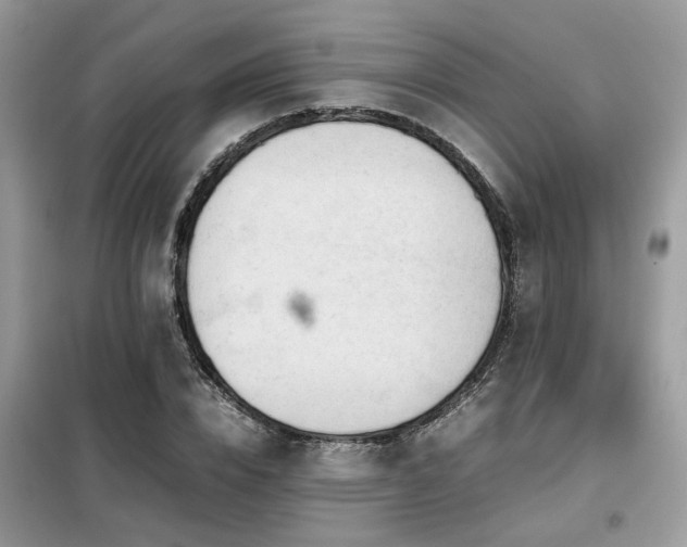 X0000099410832200805091217