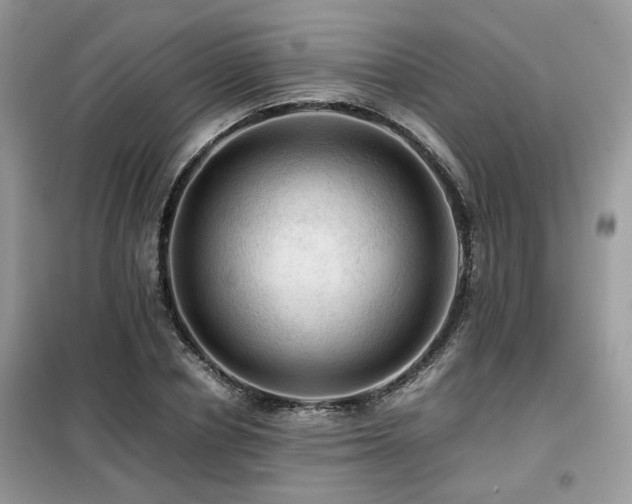 X0000099410834200805091217