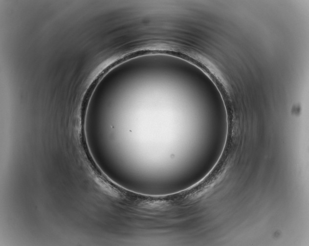 X0000099410837200805091217