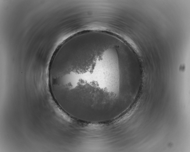 X0000099410840200805091217
